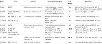 Impact of Pals1 on Expression and Localization of Transporters Belonging to the Solute Carrier Family